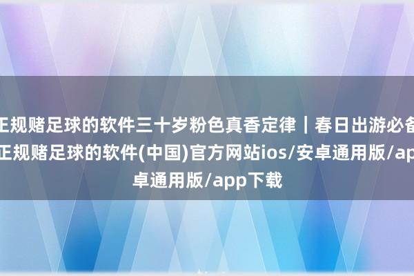 正规赌足球的软件三十岁粉色真香定律｜春日出游必备毛衣-正规赌足球的软件(中国)官方网站ios/安卓通用版/app下载