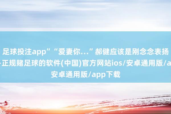 足球投注app”“爱妻你…”郝健应该是刚念念表扬我来着-正规赌足球的软件(中国)官方网站ios/安卓通用版/app下载