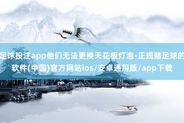 足球投注app他们无法更换天花板灯泡-正规赌足球的软件(中国)官方网站ios/安卓通用版/app下载