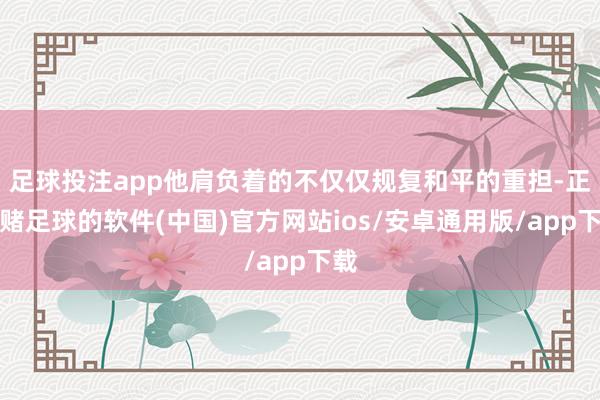 足球投注app他肩负着的不仅仅规复和平的重担-正规赌足球的软件(中国)官方网站ios/安卓通用版/app下载