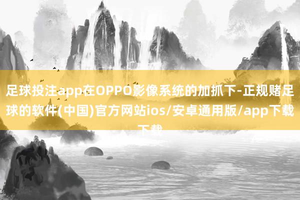 足球投注app在OPPO影像系统的加抓下-正规赌足球的软件(中国)官方网站ios/安卓通用版/app下载