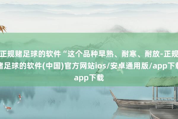 正规赌足球的软件“这个品种早熟、耐寒、耐放-正规赌足球的软件(中国)官方网站ios/安卓通用版/app下载