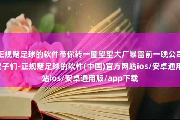 正规赌足球的软件带你转一圈望望大厂暴雷前一晚公司都在干嘛？宝子们-正规赌足球的软件(中国)官方网站ios/安卓通用版/app下载