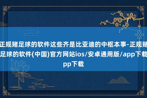 正规赌足球的软件这些齐是比亚迪的中枢本事-正规赌足球的软件(中国)官方网站ios/安卓通用版/app下载