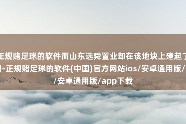 正规赌足球的软件而山东远舜置业却在该地块上建起了别墅名目-正规赌足球的软件(中国)官方网站ios/安卓通用版/app下载