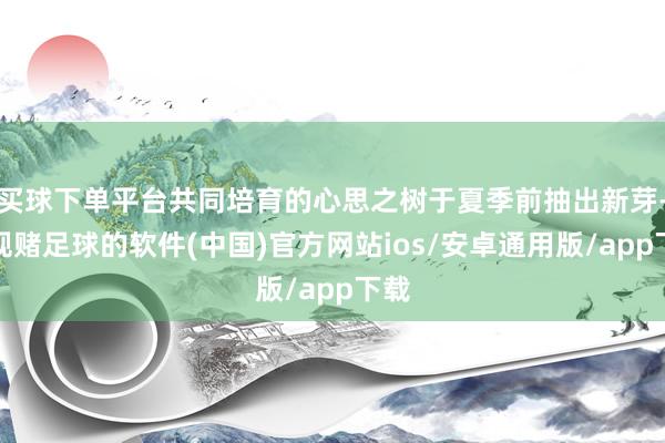 买球下单平台共同培育的心思之树于夏季前抽出新芽-正规赌足球的软件(中国)官方网站ios/安卓通用版/app下载