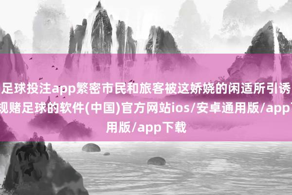 足球投注app繁密市民和旅客被这娇娆的闲适所引诱-正规赌足球的软件(中国)官方网站ios/安卓通用版/app下载