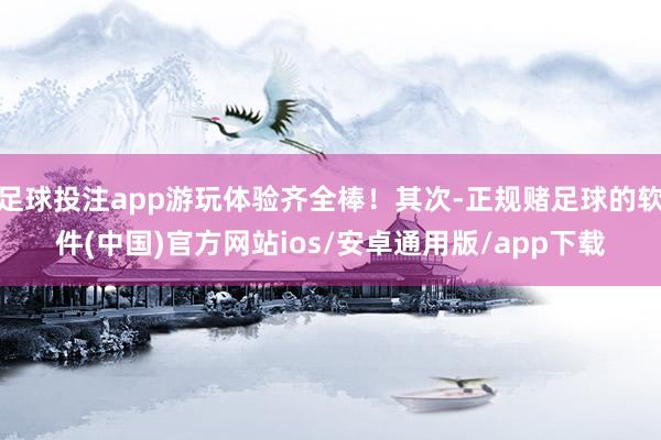 足球投注app游玩体验齐全棒！其次-正规赌足球的软件(中国)官方网站ios/安卓通用版/app下载