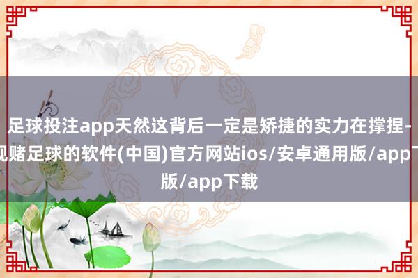 足球投注app天然这背后一定是矫捷的实力在撑捏-正规赌足球的软件(中国)官方网站ios/安卓通用版/app下载