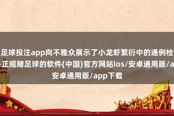 足球投注app向不雅众展示了小龙虾繁衍中的通例检测局面-正规赌足球的软件(中国)官方网站ios/安卓通用版/app下载