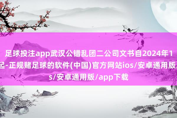 足球投注app武汉公错乱团二公司文书自2024年12月28日起-正规赌足球的软件(中国)官方网站ios/安卓通用版/app下载