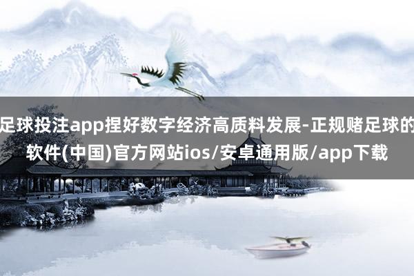 足球投注app捏好数字经济高质料发展-正规赌足球的软件(中国)官方网站ios/安卓通用版/app下载