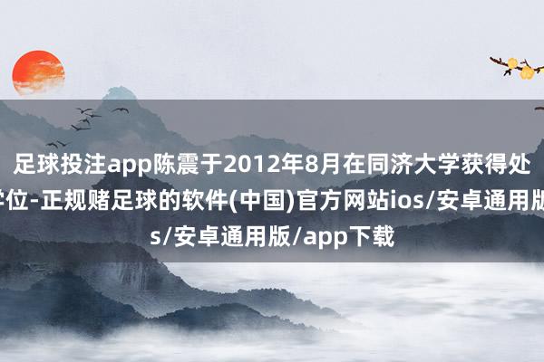 足球投注app陈震于2012年8月在同济大学获得处治学博士学位-正规赌足球的软件(中国)官方网站ios/安卓通用版/app下载