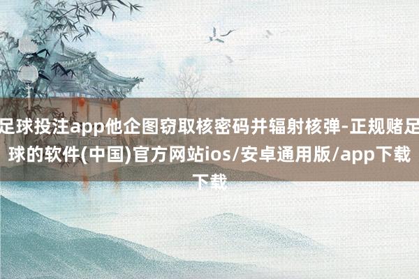 足球投注app他企图窃取核密码并辐射核弹-正规赌足球的软件(中国)官方网站ios/安卓通用版/app下载