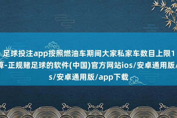 足球投注app按照燃油车期间大家私家车数目上限14亿辆去算-正规赌足球的软件(中国)官方网站ios/安卓通用版/app下载