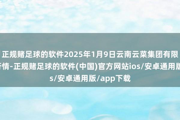 正规赌足球的软件2025年1月9日云南云菜集团有限公司价钱行情-正规赌足球的软件(中国)官方网站ios/安卓通用版/app下载