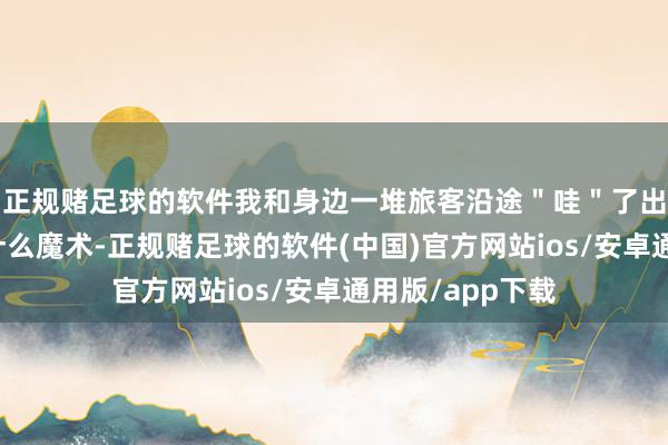 正规赌足球的软件我和身边一堆旅客沿途＂哇＂了出来仿佛看到了什么魔术-正规赌足球的软件(中国)官方网站ios/安卓通用版/app下载