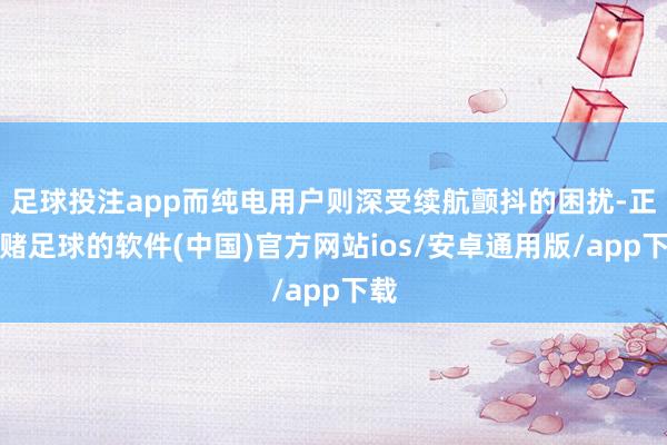 足球投注app而纯电用户则深受续航颤抖的困扰-正规赌足球的软件(中国)官方网站ios/安卓通用版/app下载