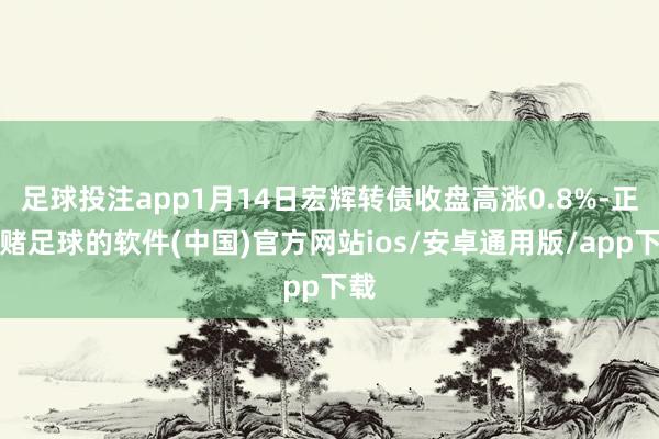 足球投注app1月14日宏辉转债收盘高涨0.8%-正规赌足球的软件(中国)官方网站ios/安卓通用版/app下载