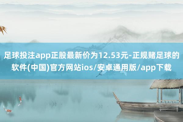 足球投注app正股最新价为12.53元-正规赌足球的软件(中国)官方网站ios/安卓通用版/app下载