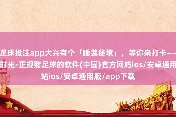 足球投注app大兴有个「睡莲秘境」，等你来打卡——_公园_莲叶_时光-正规赌足球的软件(中国)官方网站ios/安卓通用版/app下载