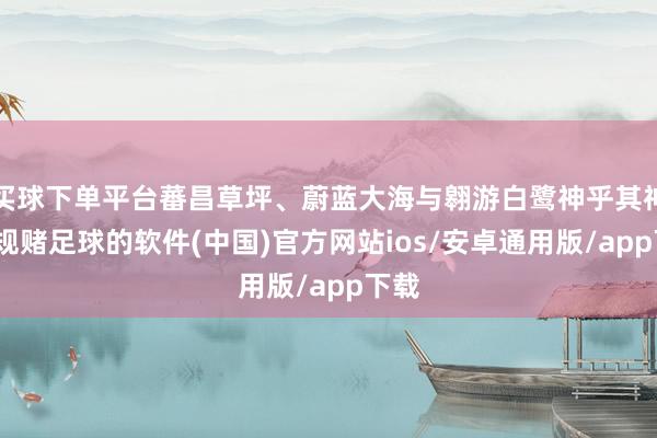 买球下单平台蕃昌草坪、蔚蓝大海与翱游白鹭神乎其神-正规赌足球的软件(中国)官方网站ios/安卓通用版/app下载