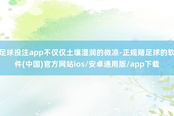 足球投注app不仅仅土壤湿润的微凉-正规赌足球的软件(中国)官方网站ios/安卓通用版/app下载