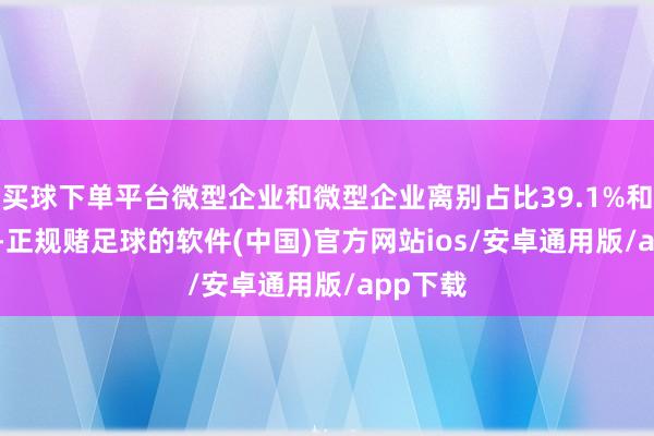 买球下单平台微型企业和微型企业离别占比39.1%和14.2%-正规赌足球的软件(中国)官方网站ios/安卓通用版/app下载