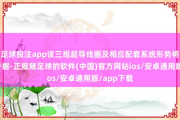足球投注app该三组超导线圈及相应配套系统形势将无间完成考据-正规赌足球的软件(中国)官方网站ios/安卓通用版/app下载