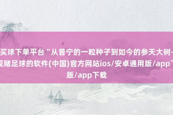 买球下单平台“从普宁的一粒种子到如今的参天大树-正规赌足球的软件(中国)官方网站ios/安卓通用版/app下载