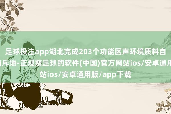 足球投注app湖北完成203个功能区声环境质料自动监测站点的斥地-正规赌足球的软件(中国)官方网站ios/安卓通用版/app下载