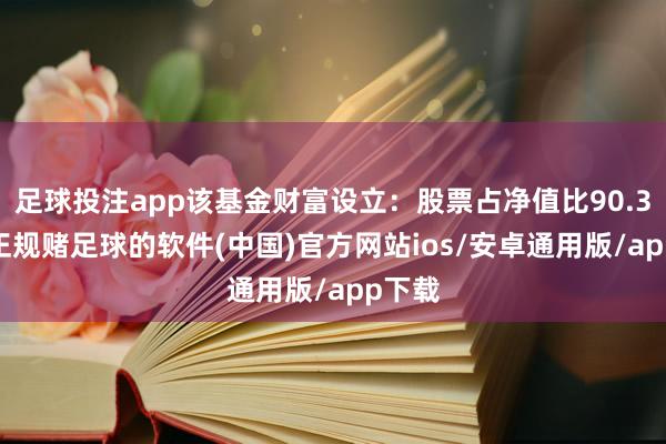 足球投注app该基金财富设立：股票占净值比90.36%-正规赌足球的软件(中国)官方网站ios/安卓通用版/app下载