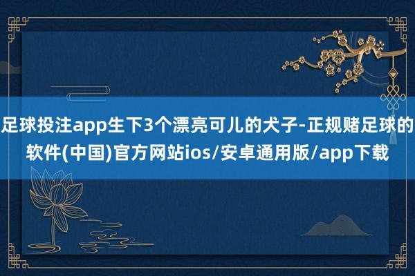 足球投注app生下3个漂亮可儿的犬子-正规赌足球的软件(中国)官方网站ios/安卓通用版/app下载