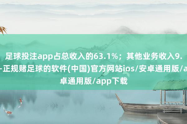 足球投注app占总收入的63.1%；其他业务收入9.16亿元-正规赌足球的软件(中国)官方网站ios/安卓通用版/app下载