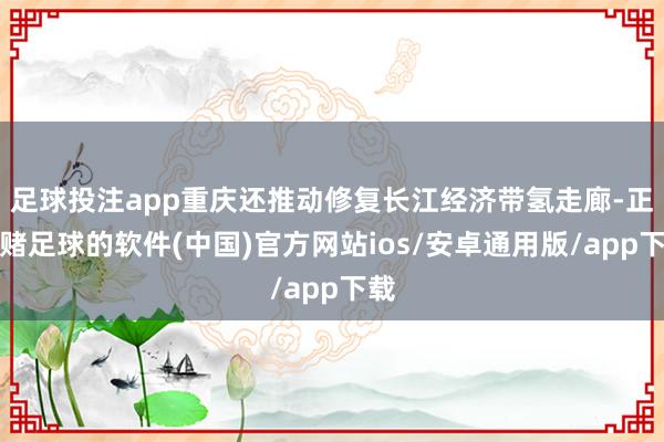 足球投注app重庆还推动修复长江经济带氢走廊-正规赌足球的软件(中国)官方网站ios/安卓通用版/app下载