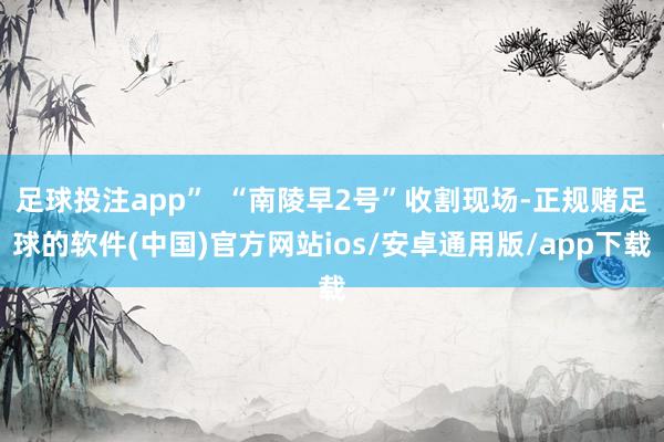 足球投注app”  “南陵早2号”收割现场-正规赌足球的软件(中国)官方网站ios/安卓通用版/app下载