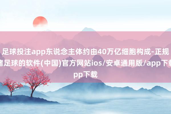 足球投注app东说念主体约由40万亿细胞构成-正规赌足球的软件(中国)官方网站ios/安卓通用版/app下载