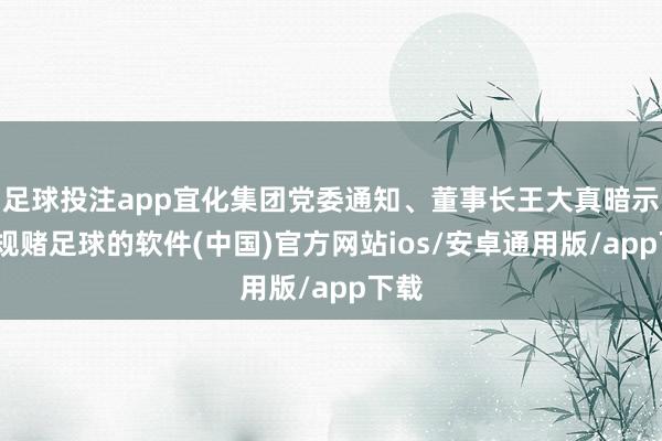足球投注app宜化集团党委通知、董事长王大真暗示-正规赌足球的软件(中国)官方网站ios/安卓通用版/app下载