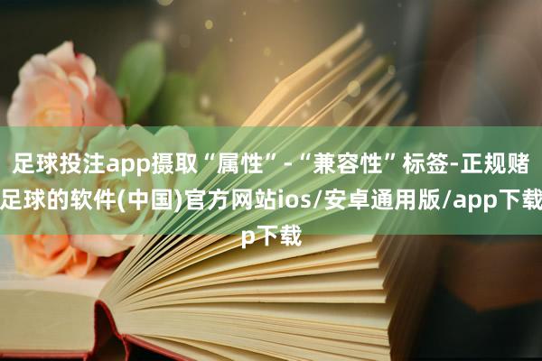 足球投注app摄取“属性”-“兼容性”标签-正规赌足球的软件(中国)官方网站ios/安卓通用版/app下载