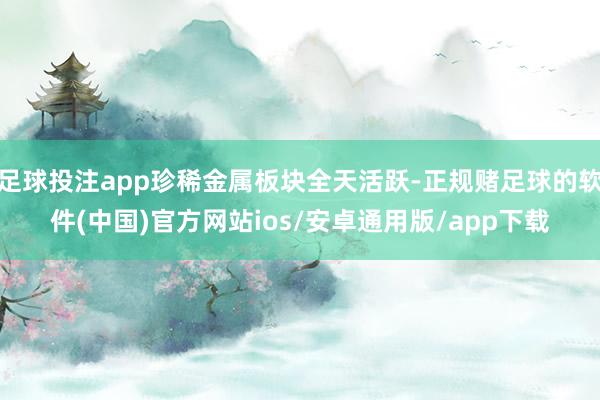 足球投注app珍稀金属板块全天活跃-正规赌足球的软件(中国)官方网站ios/安卓通用版/app下载