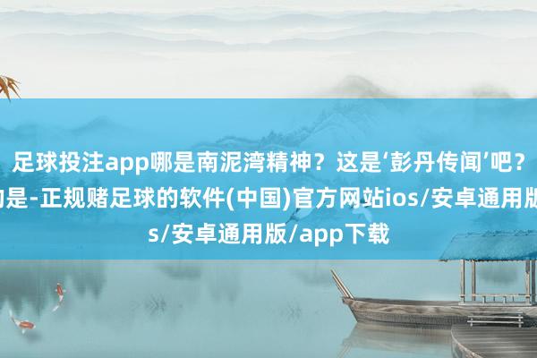 足球投注app哪是南泥湾精神？这是‘彭丹传闻’吧？＂更夸张的是-正规赌足球的软件(中国)官方网站ios/安卓通用版/app下载
