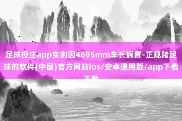 足球投注app实则因4695mm车长搁置-正规赌足球的软件(中国)官方网站ios/安卓通用版/app下载