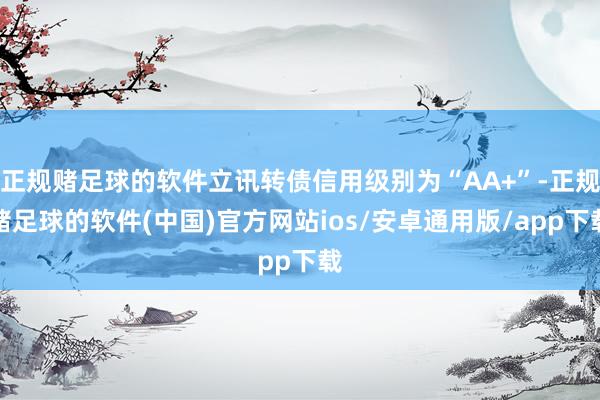正规赌足球的软件立讯转债信用级别为“AA+”-正规赌足球的软件(中国)官方网站ios/安卓通用版/app下载