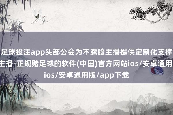足球投注app头部公会为不露脸主播提供定制化支撑：针对声息主播-正规赌足球的软件(中国)官方网站ios/安卓通用版/app下载
