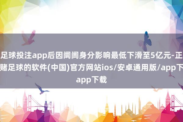 足球投注app后因阛阓身分影响最低下滑至5亿元-正规赌足球的软件(中国)官方网站ios/安卓通用版/app下载