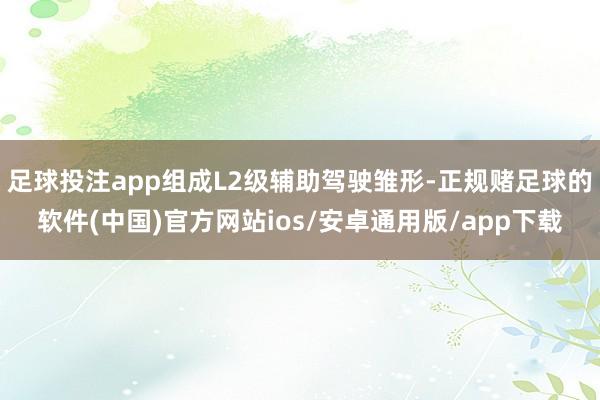 足球投注app组成L2级辅助驾驶雏形-正规赌足球的软件(中国)官方网站ios/安卓通用版/app下载