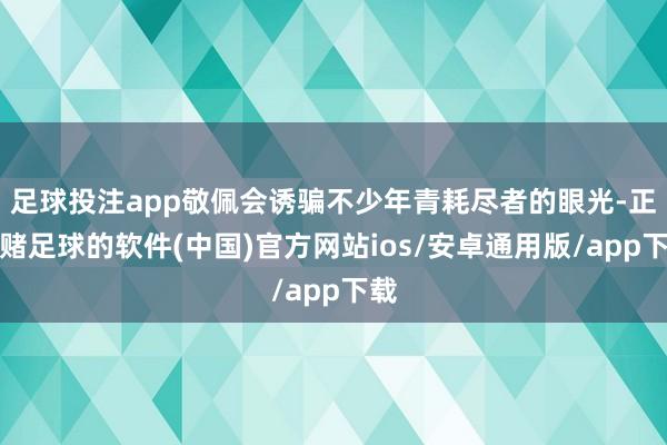 足球投注app敬佩会诱骗不少年青耗尽者的眼光-正规赌足球的软件(中国)官方网站ios/安卓通用版/app下载