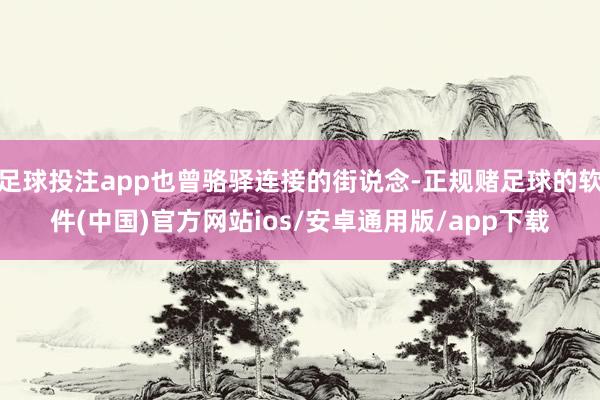 足球投注app也曾骆驿连接的街说念-正规赌足球的软件(中国)官方网站ios/安卓通用版/app下载