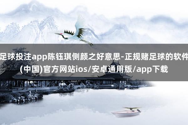 足球投注app陈钰琪侧颜之好意思-正规赌足球的软件(中国)官方网站ios/安卓通用版/app下载