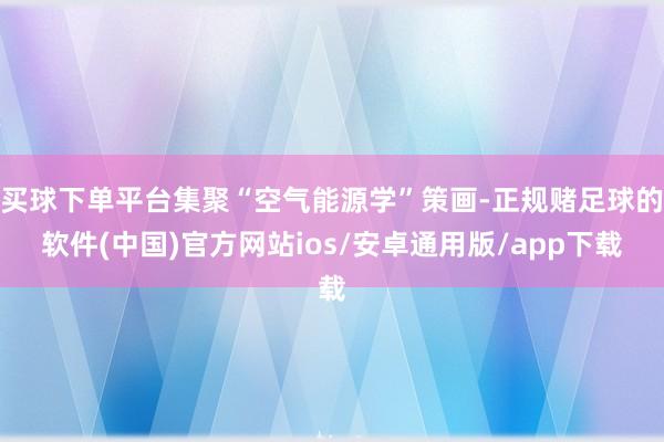 买球下单平台集聚“空气能源学”策画-正规赌足球的软件(中国)官方网站ios/安卓通用版/app下载